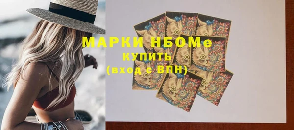 прущий лед Алзамай