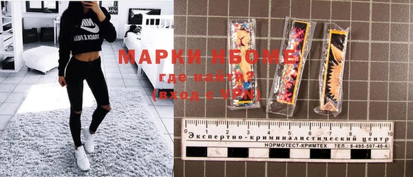 прущий лед Алзамай