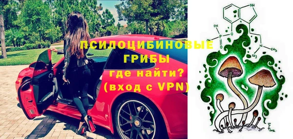мяу мяу мука Абаза