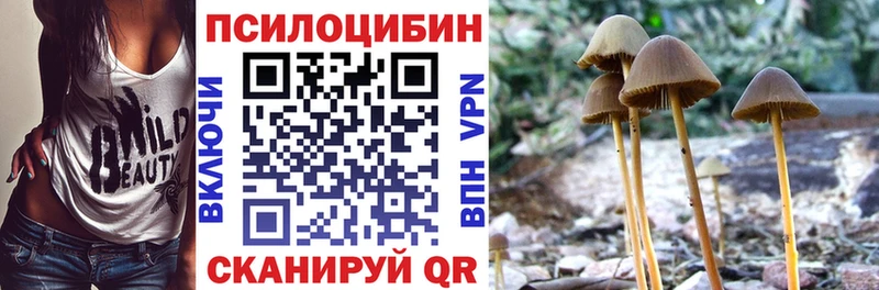 Псилоцибиновые грибы ЛСД  darknet наркотические препараты  Белоозёрский 